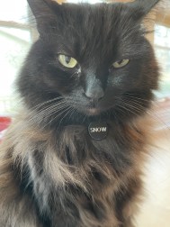 4EE7FDF7-B66C-4E59-87B2-979102755ABE